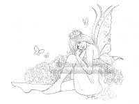 Hydrangea Fairy